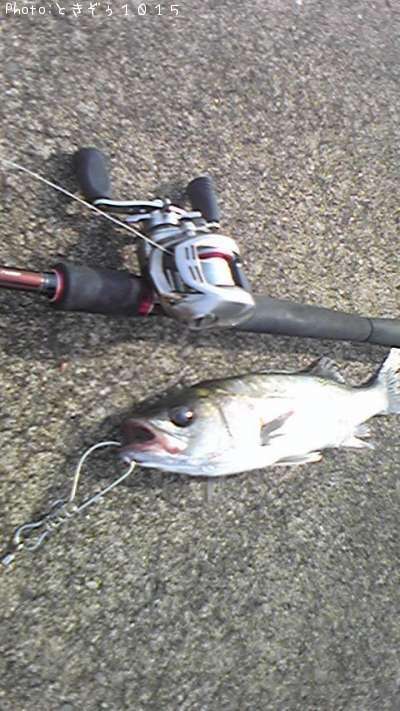 �����Х�