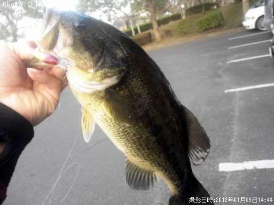 �֥�å��Х�