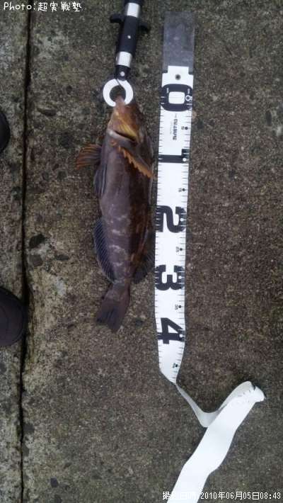 �����ʥ�