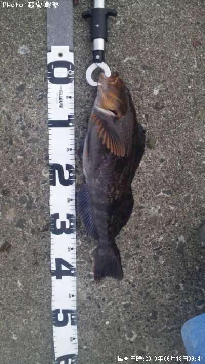 �����ʥ�