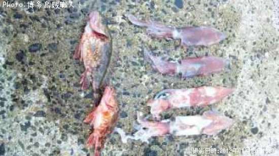 ���󥵥�����