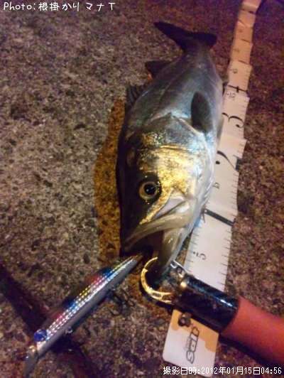 �����Х�