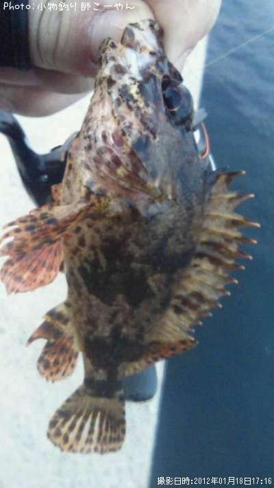 �����Υ���Х�