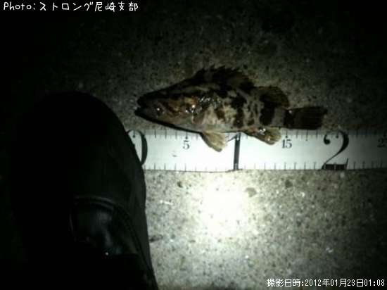 �����Υ���Х�