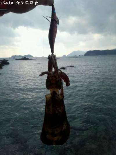 �����ꥤ��