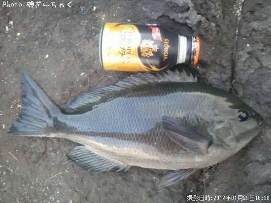 �����᥸��