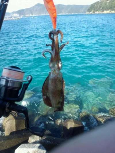 �����ꥤ��