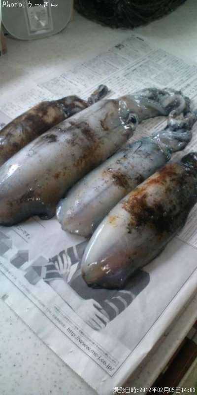 �����ꥤ��