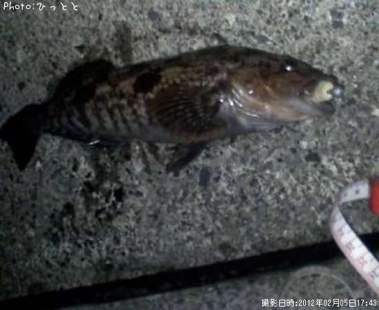 �����ʥ�