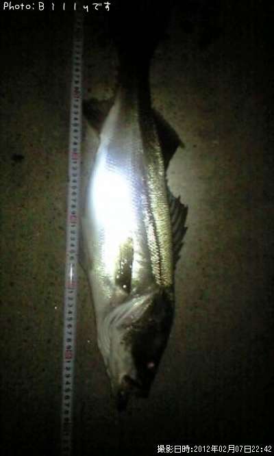 �����Х�