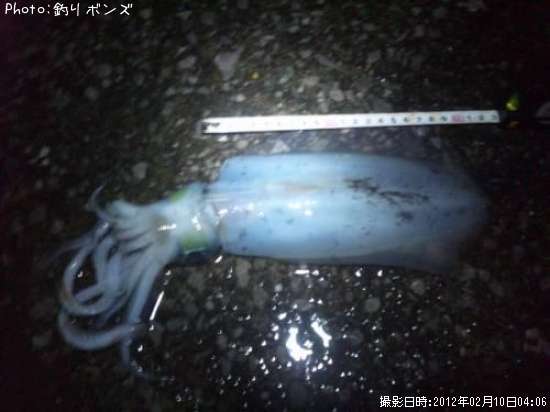 �����ꥤ��