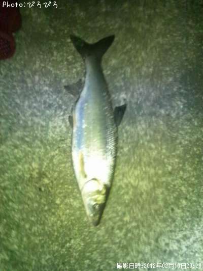 ���������������������Υ���Х�