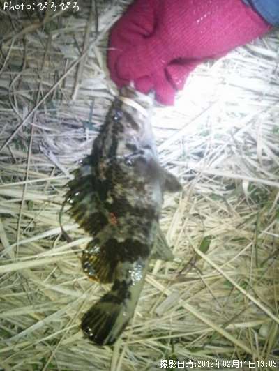 �����Υ���Х�