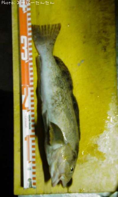 �����ʥ�