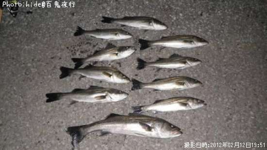 �����Х�