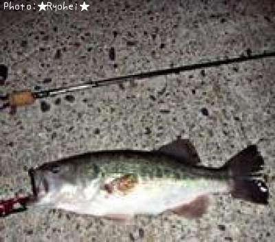 �֥�å��Х�