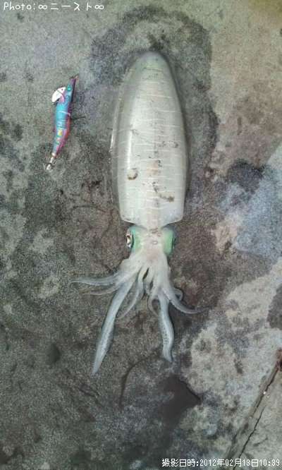 �����ꥤ��