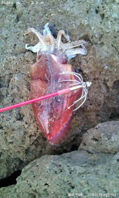 ���֥���