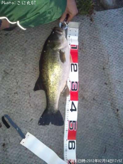 �֥�å��Х�