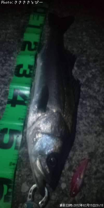 �����Х�