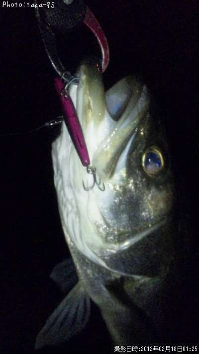 �����Х�