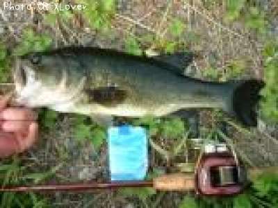 �֥�å��Х�