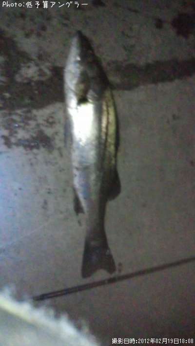 �����Х�