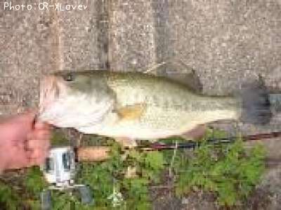 �֥�å��Х�