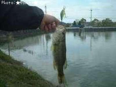 �֥�å��Х�