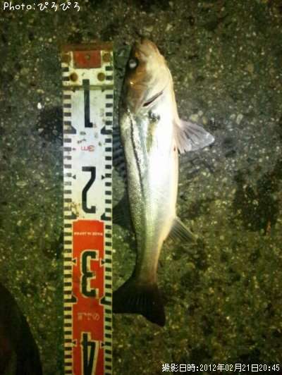 �����Х�