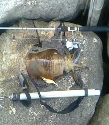 �����ꥤ��