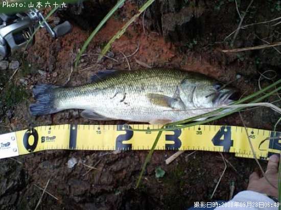 �֥�å��Х�