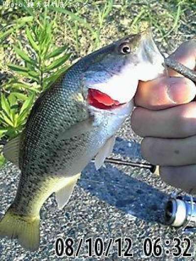 �֥�å��Х�