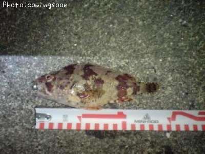 �������Х�