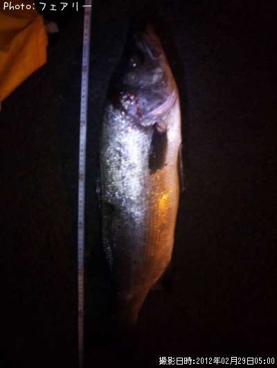 �����Х���