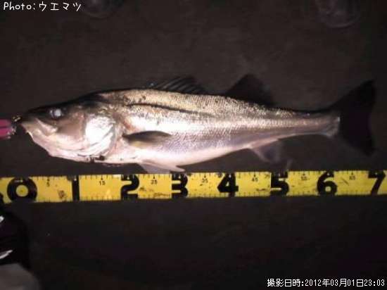 �����Х�