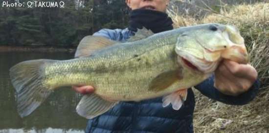 �֥�å��Х�