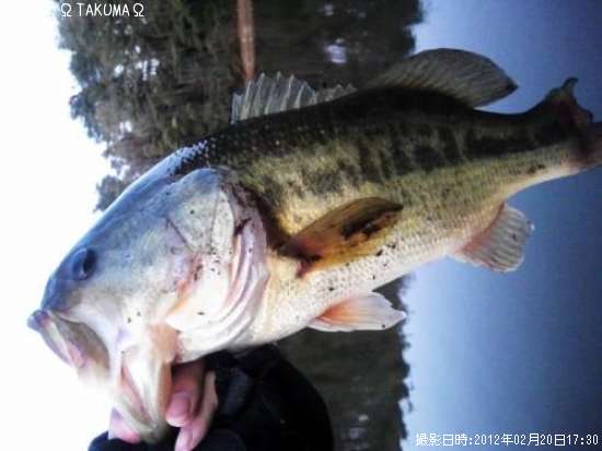 �֥�å��Х�