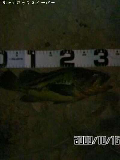 ���ޥ���