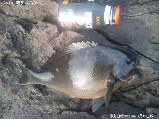 ��Ĺ�᥸��