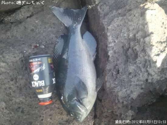 �����᥸��