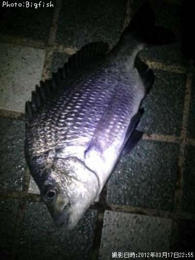 �ʥ�襦����