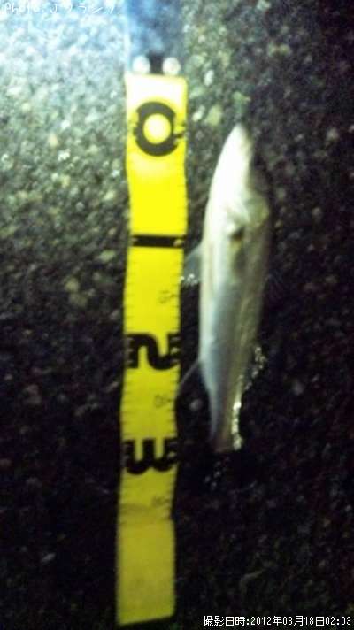 �����Х�