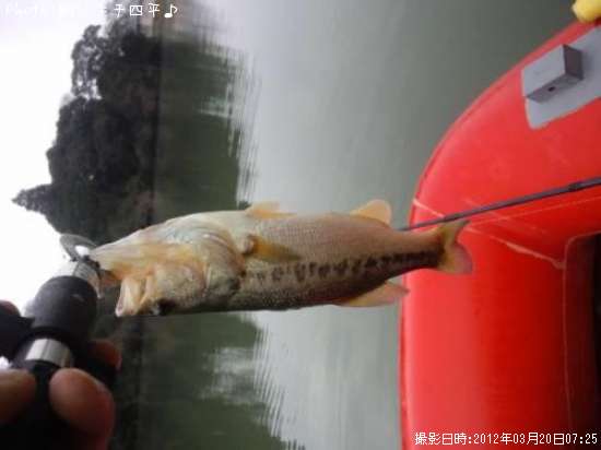 �֥�å��Х�