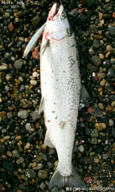 ������ޥ�