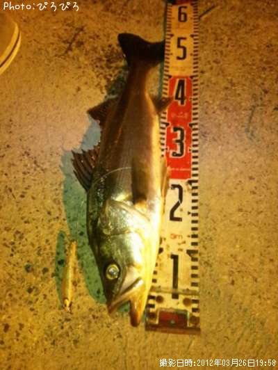 �����Х�