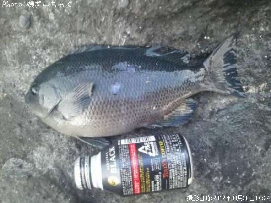 �����᥸��