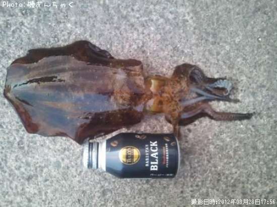 �����ꥤ��