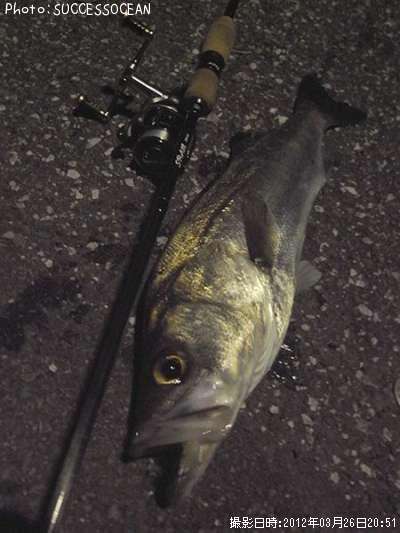 �����Х�