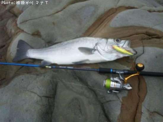 �ҥ饹����